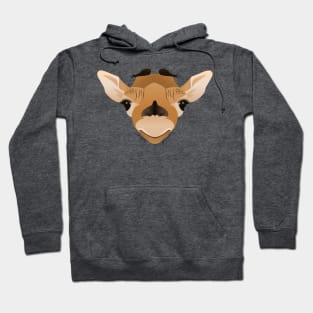 Baby Giraffe Face Hoodie